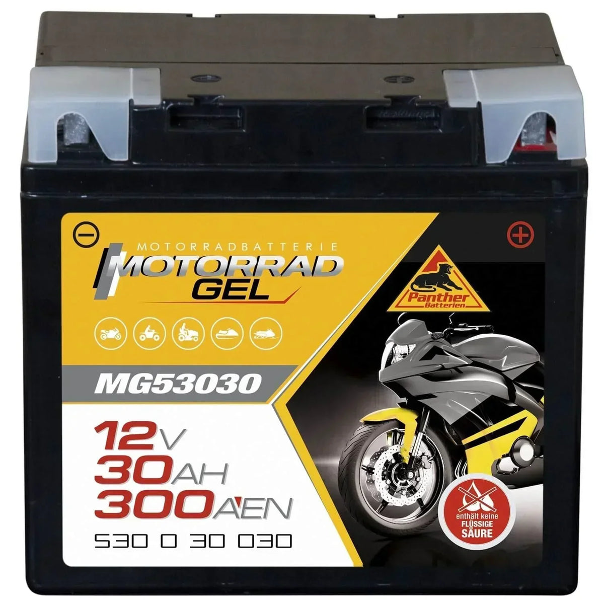 Motorradbatterie Panther GEL 53030 12V 30Ah Front