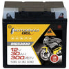Motorradbatterie Panther GEL 53030 12V 30Ah Front