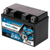 BLUEMAX Motorsport 51013 GEL 12V 12Ah 230A/EN Motorradbatterie
