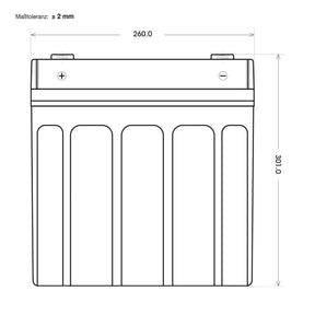 BIG E-Drive AGM 8V 200Ah Traktionsbatterie
