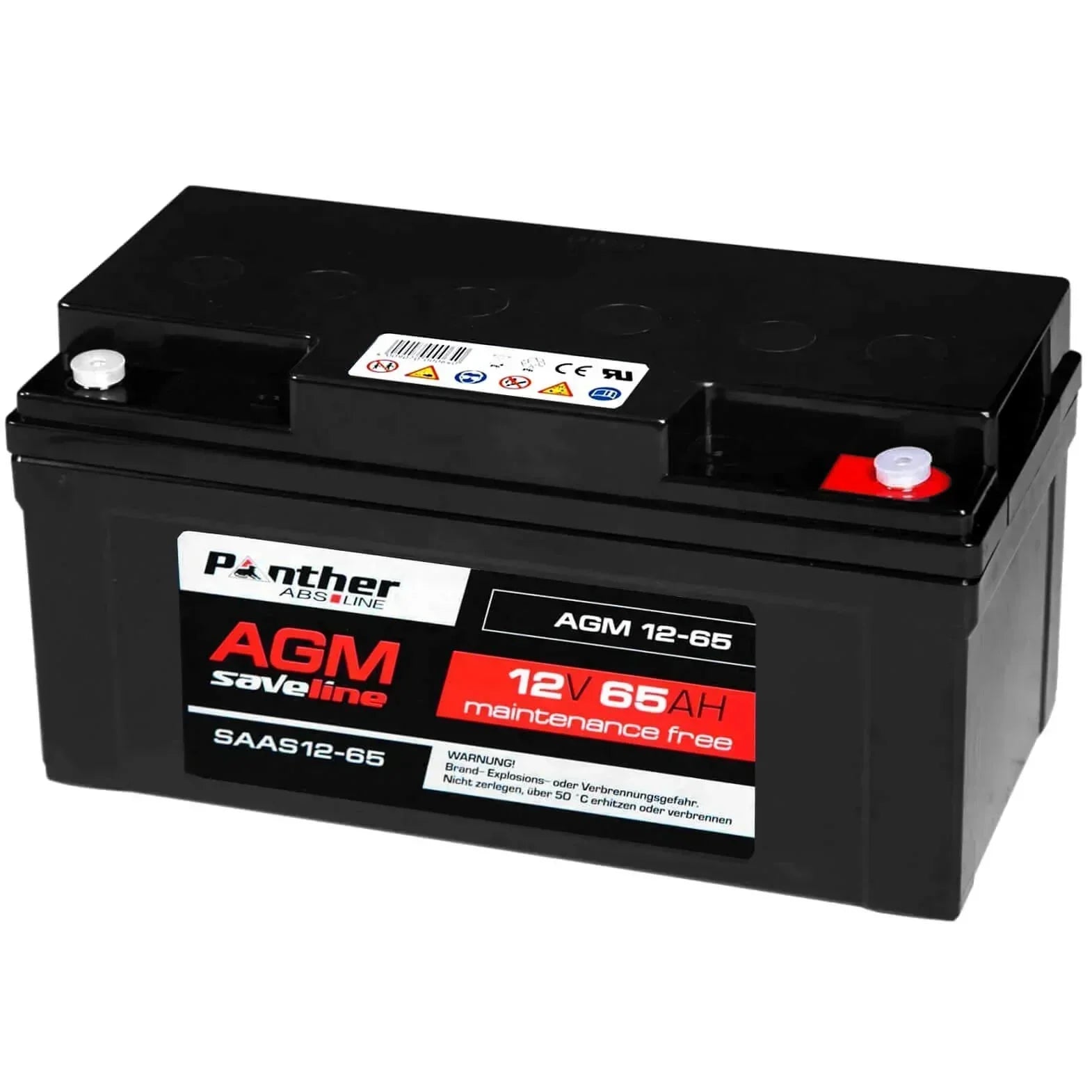 USV Batterie Panther saveline AGM 12V 65Ah Seite rechts